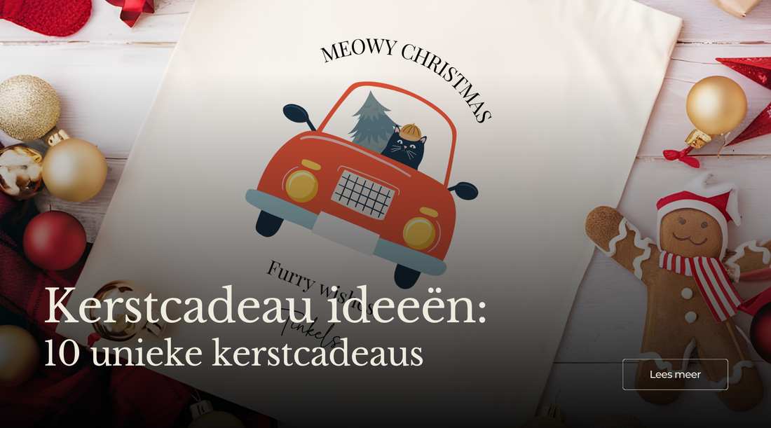 10 unieke kerstcadeaus
